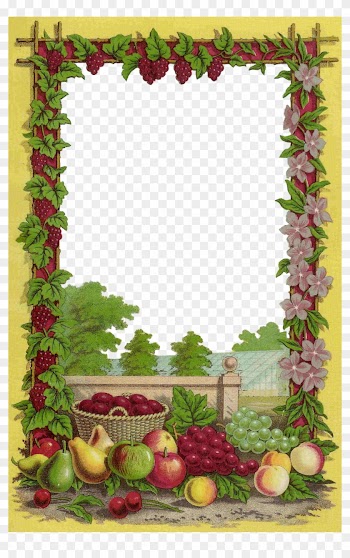 Borders/frames - Fruits Borders And Frames