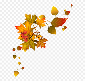 Bordures,tubes Coins,corners Autumn Leaf Color, Autumn - Fall ...