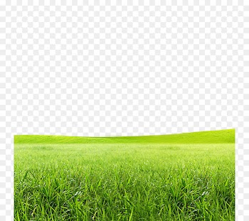 Born to Grow Lawn Icon - Meadow 