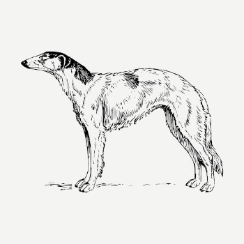 Borzoi dog drawing, animal vintage | Free PSD - rawpixel