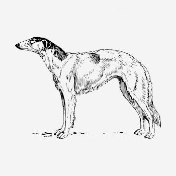 Borzoi dog drawing, vintage animal | Free Photo - rawpixel