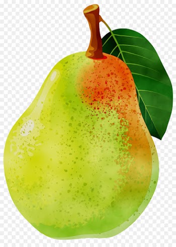 Bosc Pear, Food, Asian Pear, Pear, Tree PNG
