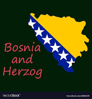 Bosnia and herzegovina political map with capital vector image