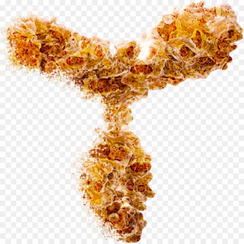 Boster Biological Technology, Antibody, Elisa, Flame PNG