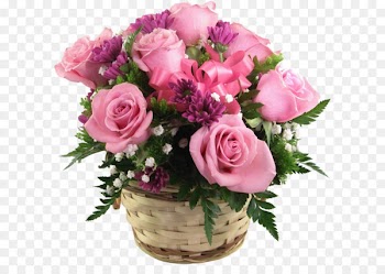 Boston Harbor Charles River Reservation Fenway–Kenmore Community Boating, Inc - Transparent Pink Roses Basket Clip Art 