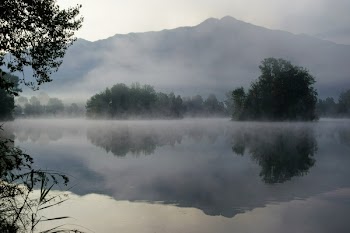 Bosy of Water Surrounded by Mist