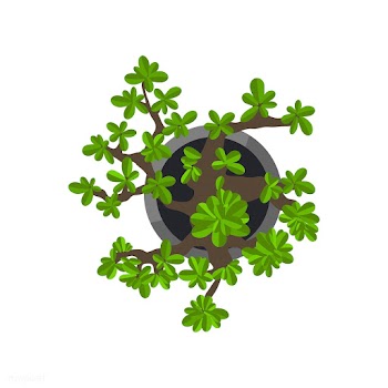 Botanic arrangement beautiful | Free stock vector - 396609