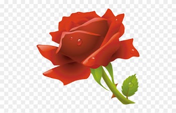 Botanic, Bouquet, Cultivated, Eco, Ecology, Environment, - Rose Flower Clipart Png