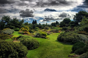 botanic_gardens.jpg