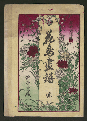[Botanical book illustration (or possibly | Free Photo - rawpixel