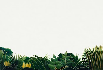 Botanical border, exotic leaves, remixed from… | Free stock illustration | High Resolution graphic