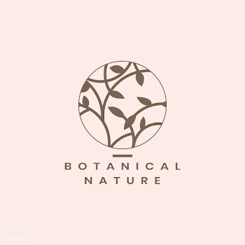 Botanical floral illustration | Free stock vector - 558013