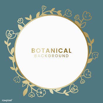 Botanical floral illustration | Free stock vector - 558014