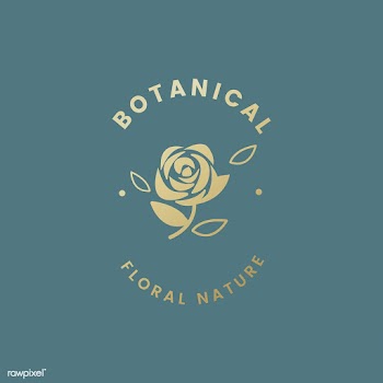 Botanical floral illustration | Free stock vector - 558035
