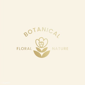 Botanical floral illustration | Free stock vector - 558039