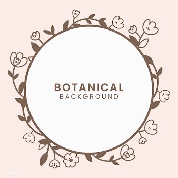 Botanical floral illustration | Free stock vector - 558052
