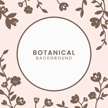 Botanical floral illustration | Free stock vector - 558059