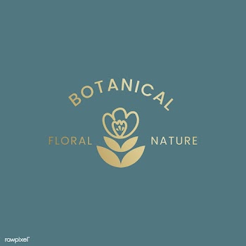 Botanical floral illustration | Free stock vector - 558063