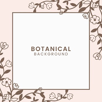 Botanical floral illustration | Free stock vector - 558064