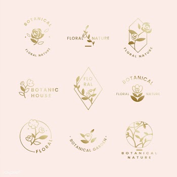 Botanical floral illustration | Free stock vector - 558082