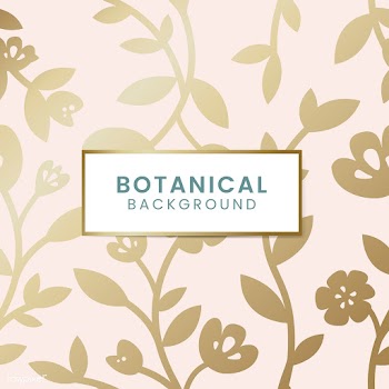 Botanical floral illustration | Free stock vector - 558083