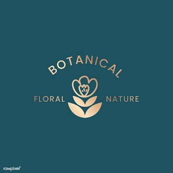 Botanical floral illustration | Free stock vector - 558088