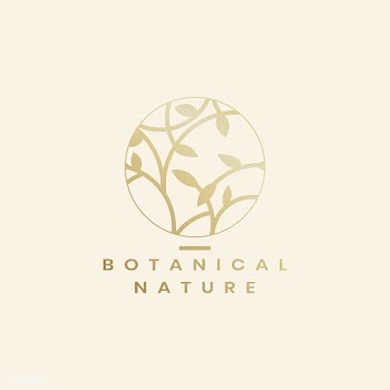 Botanical floral illustration | Free stock vector - 558093