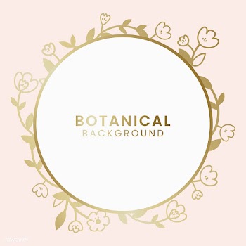 Botanical floral illustration | Free stock vector - 558107