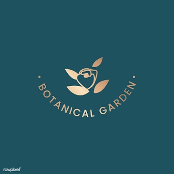 Botanical floral illustration | Free stock vector - 558112