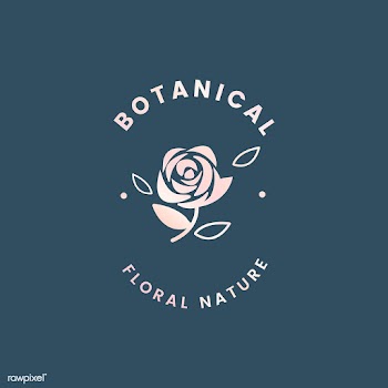 Botanical floral illustration | Free stock vector - 558128