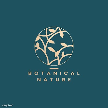 Botanical floral illustration | Free stock vector - 558134