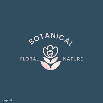 Botanical floral illustration | Free stock vector - 558143