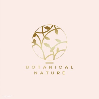 Botanical floral illustration | Free stock vector - 558150
