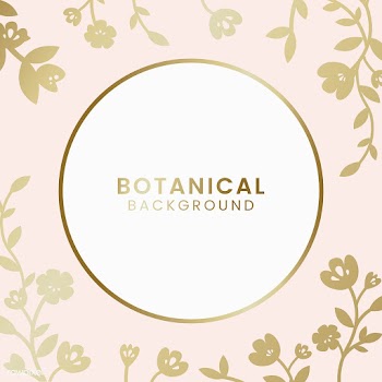 Botanical floral illustration | Free stock vector - 558151