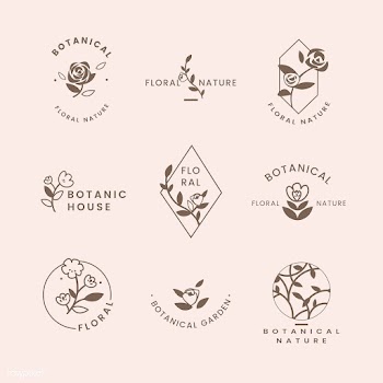 Botanical floral illustration | Free stock vector - 558156