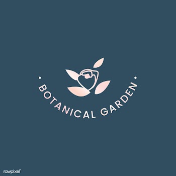 Botanical floral illustration | Free stock vector - 558158