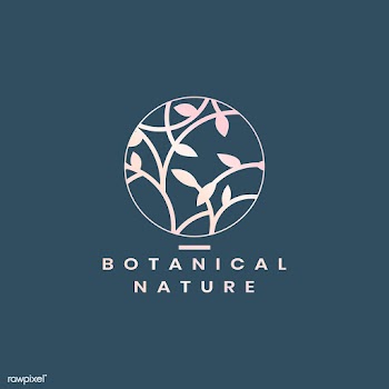 Botanical floral illustration | Free stock vector - 558165