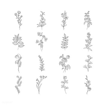 Botanical floral mockup illustration | Free stock vector - 555518