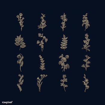 Botanical floral mockup illustration | Free stock vector - 555523