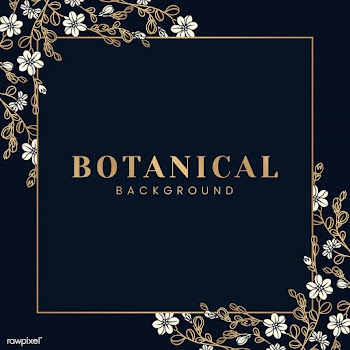 Botanical floral mockup illustration | Free stock vector - 555567