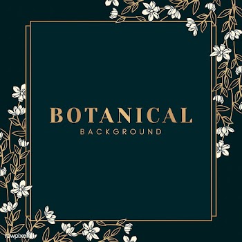 Botanical floral mockup illustration | Free stock vector - 555568