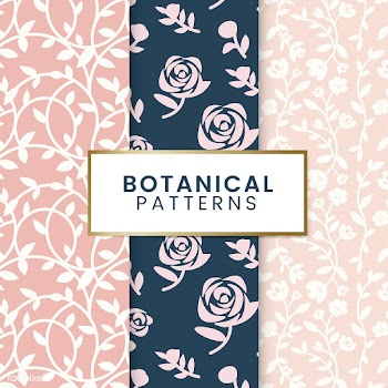 Botanical floral patterns illustration | Free stock vector - 558021