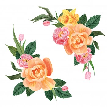 Botanical flower watercolor bouquet elegance blooming Free Vector