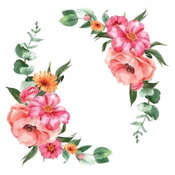 Botanical flower watercolor bouquet elegance blooming Free Vector