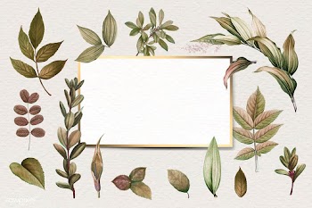 Botanical framed card | Free stock vector - 593848