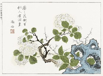 Botanical from Minch&ocirc; shiken, Sorimachi | Free Photo Illustration - rawpixel
