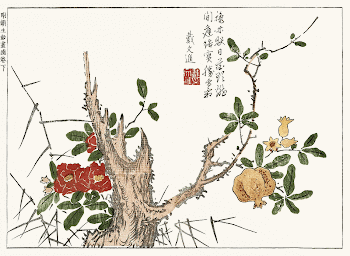 Botanical from Minch&ocirc; shiken, Sorimachi | Free Photo Illustration - rawpixel