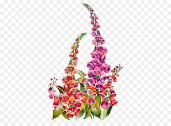 Botanical illustration Portable Network Graphics Clip art Watercolor painting -  