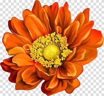 Botanical illustration Watercolor painting, others transparent background PNG clipart