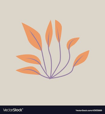 botanical natural colorful plant